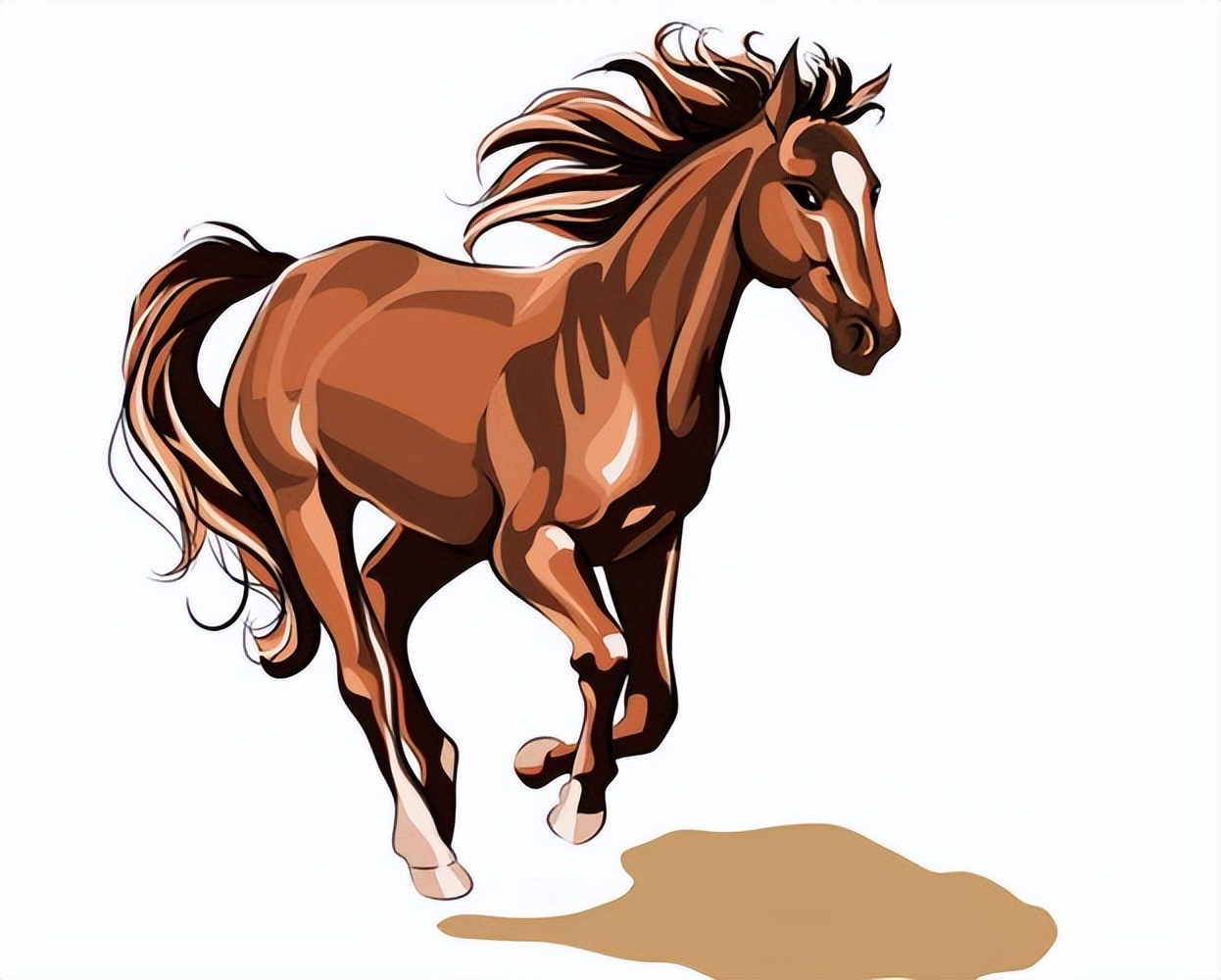 生肖马的每个季节的性格分析,生肖龙和生肖马的性格合适吗