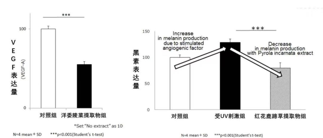 美白还抗老紧致的精华,美白身体猛药