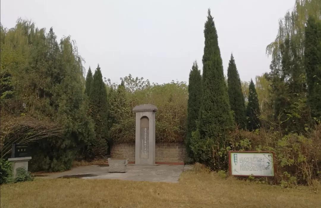 杜甫为什么有2个墓地,诗圣杜甫故里在哪里