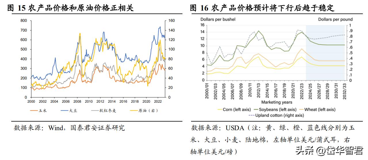 钾肥亚钾国际,亚钾国际的钾肥产能