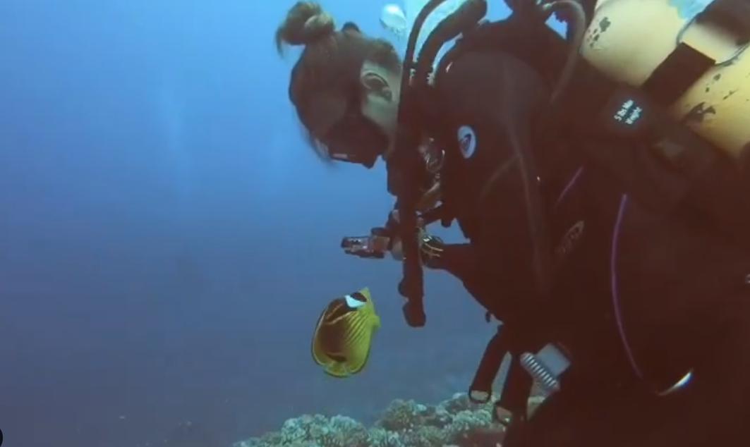 国外美女姐姐海里偶遇一只小鱼，竟引发神奇友谊！网友：前世情人