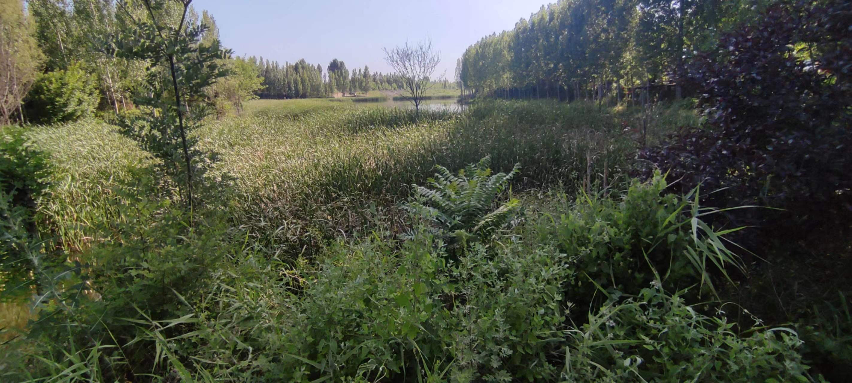 古中国考出彭蠡泽｜张笔魁