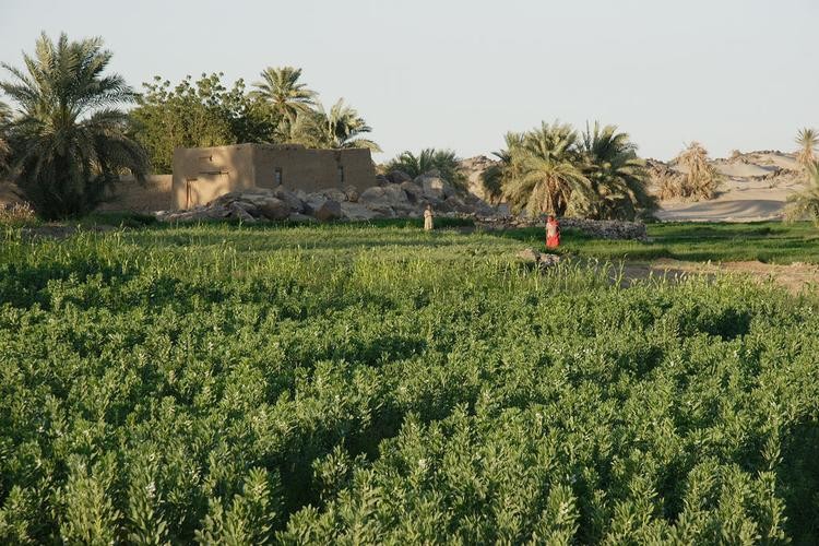 苏丹建大坝有能力保护吗,苏丹建大坝对埃及的影响