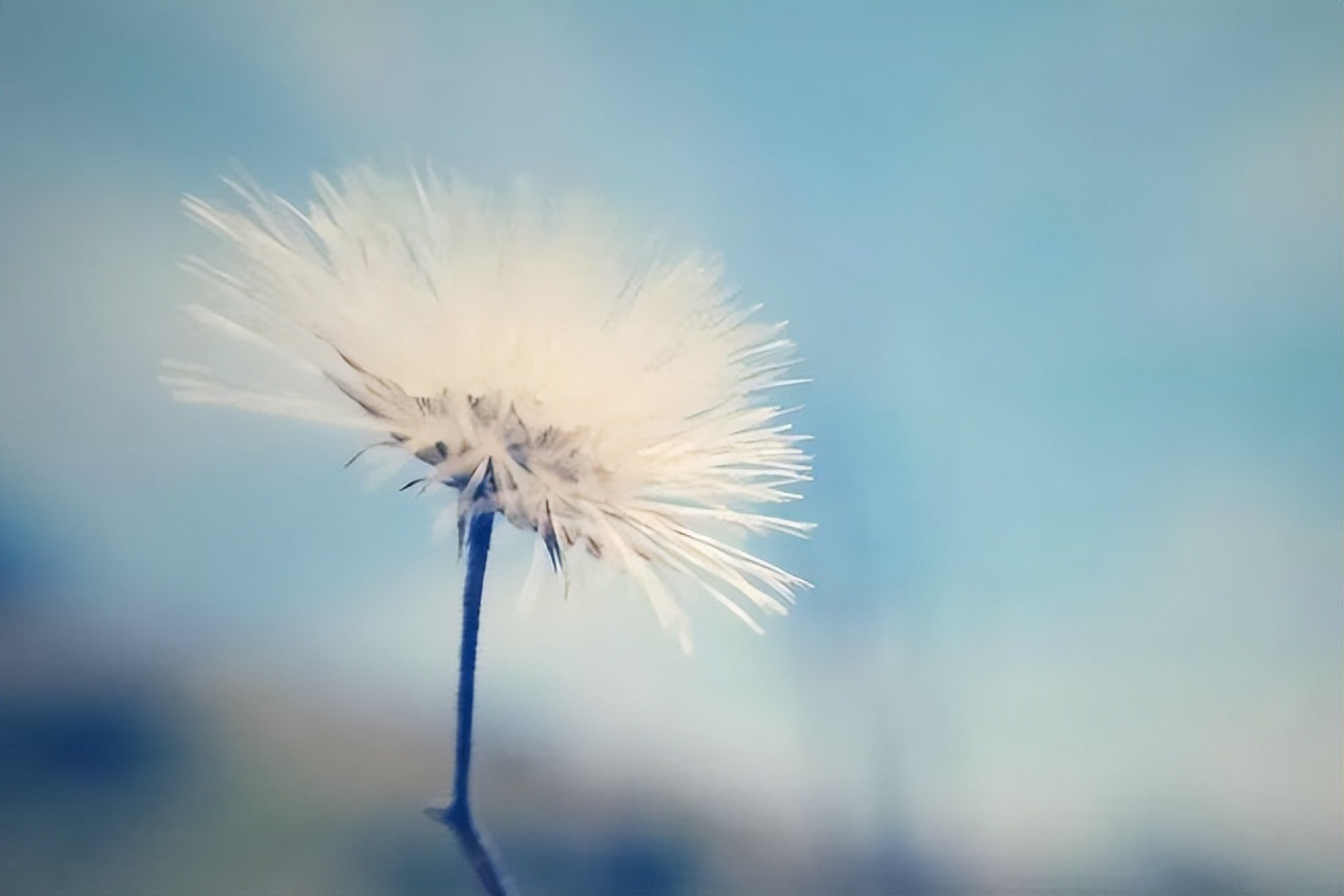 男生当舔狗的几种表现,女朋友把你当作舔狗的表现