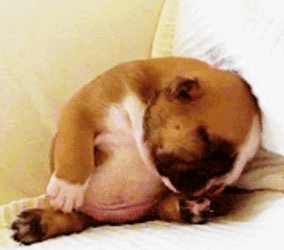 为什么人干重活几天就不累了,没干过重活突然干重活怎么调整