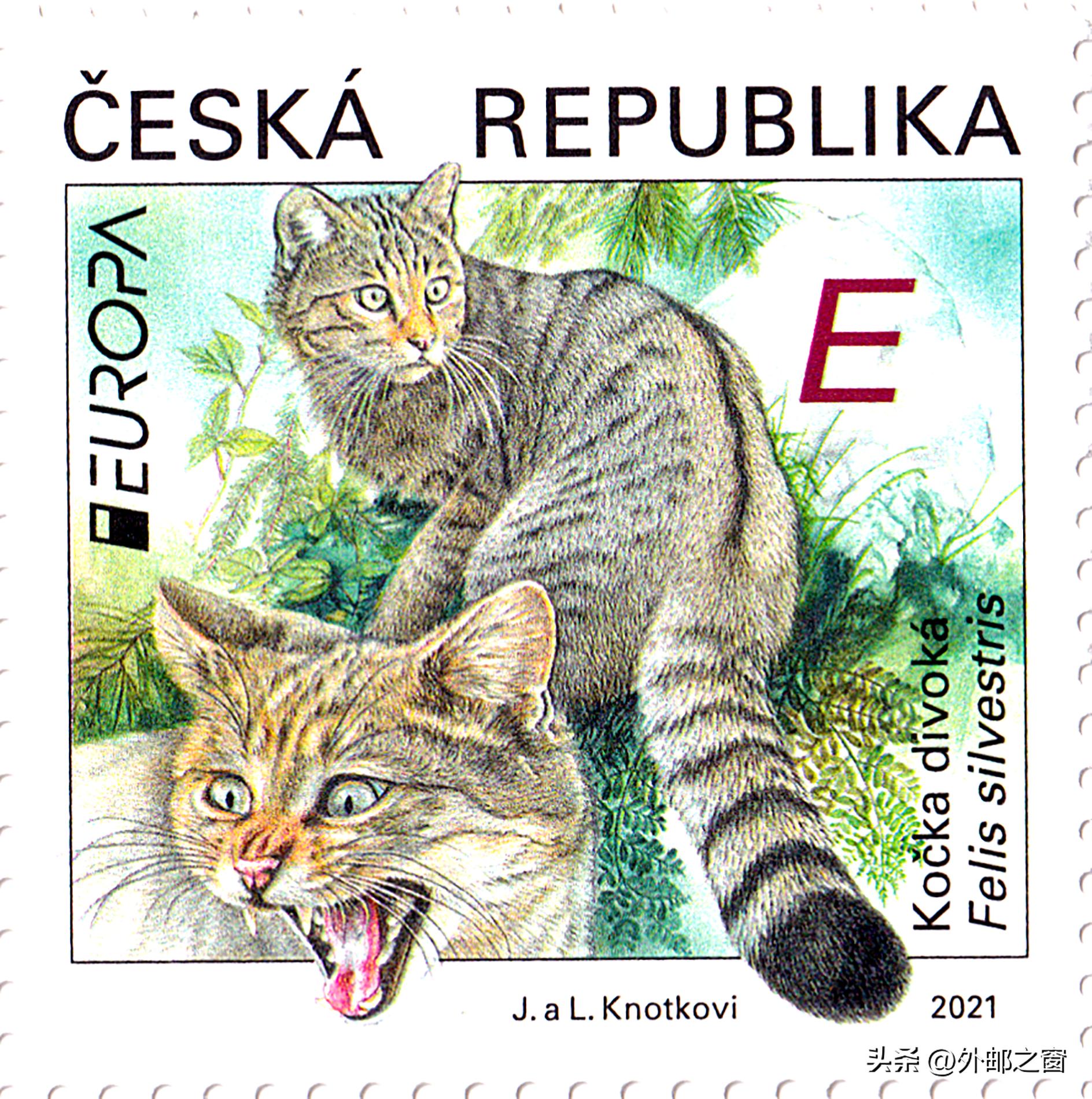 听说过吗?这些猫为邮局打工,还发工资!