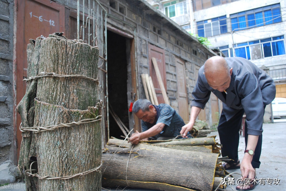 和黄柏同样效果的中药,一味中药黄柏功效与作用