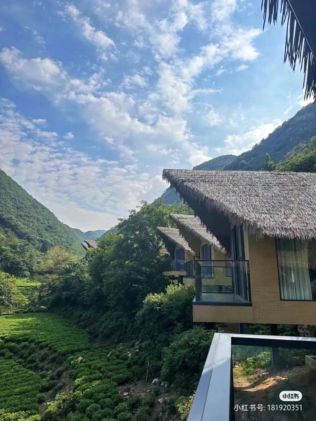 信阳南湾湖一日游详细攻略,信阳三日游攻略路线