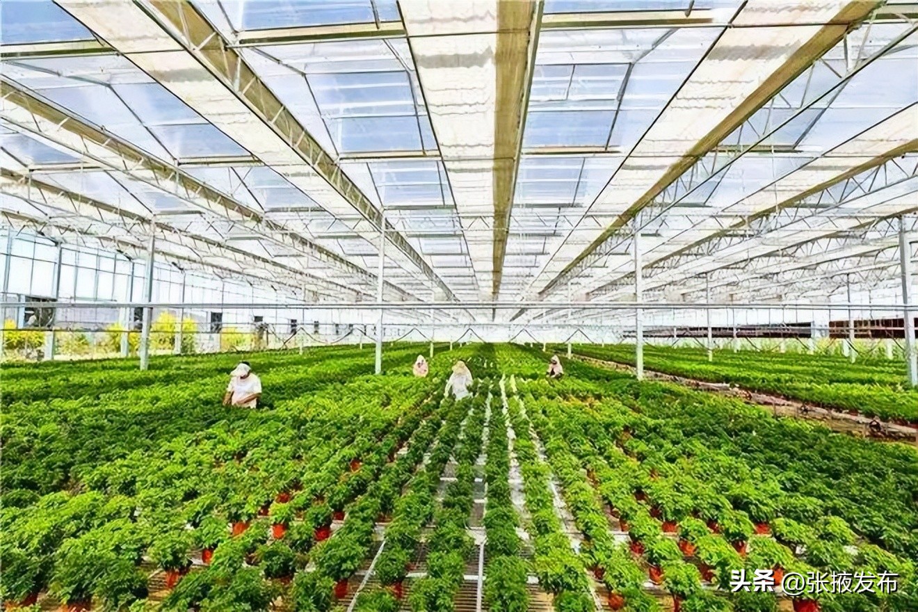 庆阳市党建引领乡村振兴特色做法,张掖党建引领乡村振兴24字方针