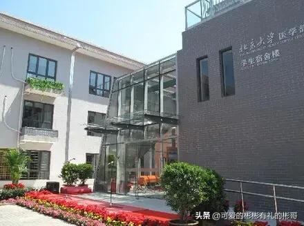 北京大学医学部临床8年与临床5年,北京大学临床医学八年制