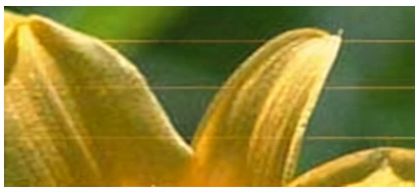 lj2605打印机打印有条黑线,l6198打印机出现条纹怎么处理