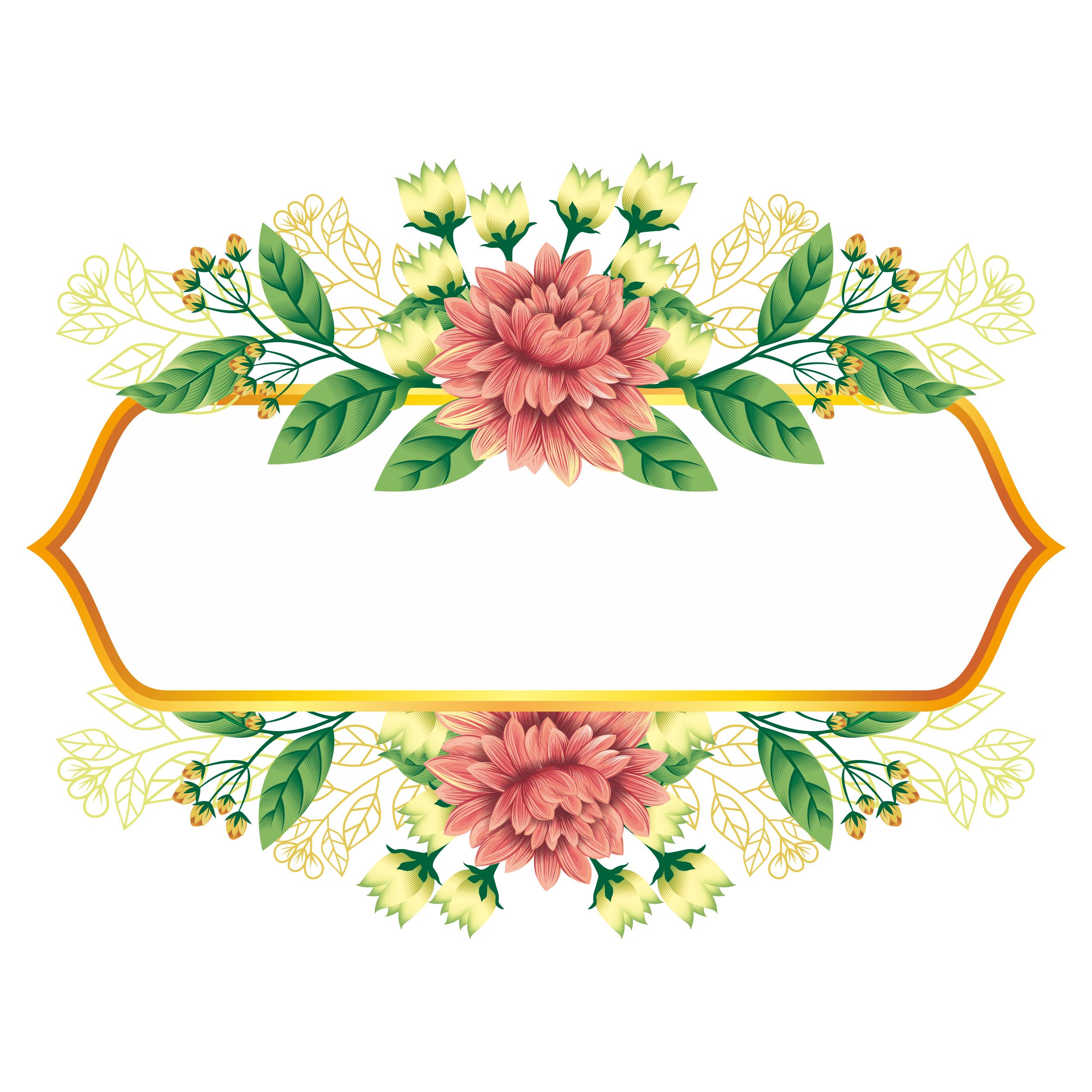 漂亮的彩色边框图片大全,好看的绿叶边框