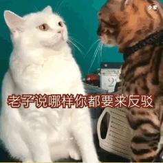 机械表保养一次多少钱,机械表保养一次多少钱精工