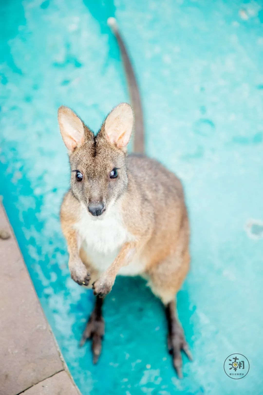 成都市暑假亲子游玩地点推荐,暑假成都亲子游推荐景点