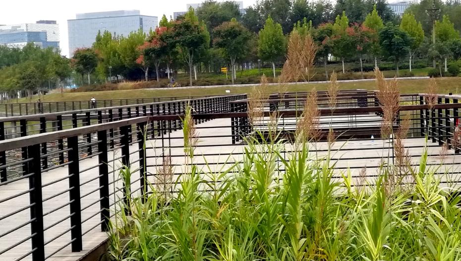 郑州赏花游玩推荐景点,郑州踏青旅游攻略