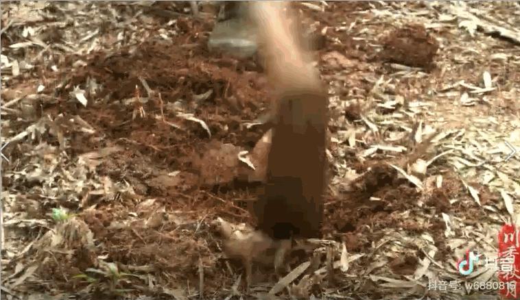 别在我的世界里指手画脚,别对别人指手画脚的视频