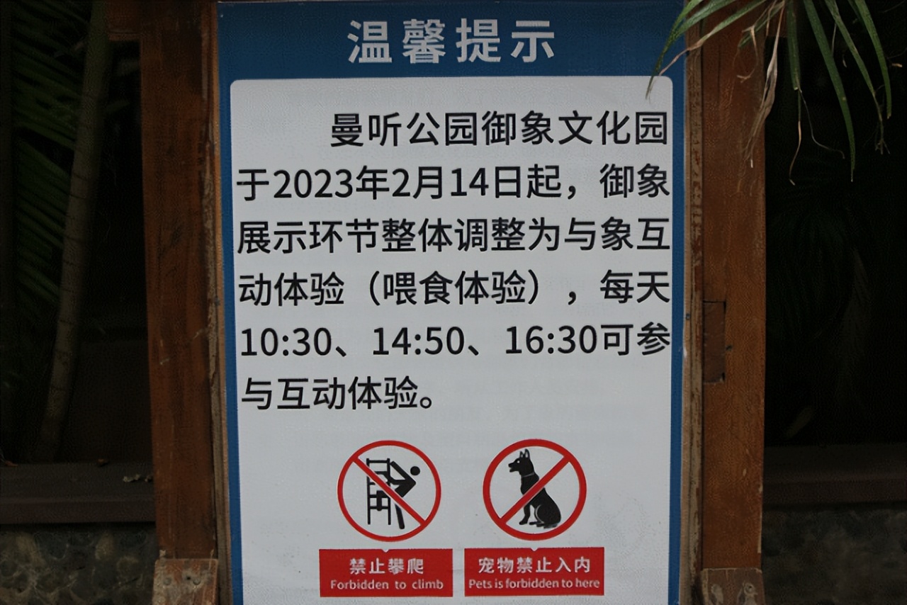 辟谣公园里小象遭针扎,景区回应骆驼遭棒打求饶