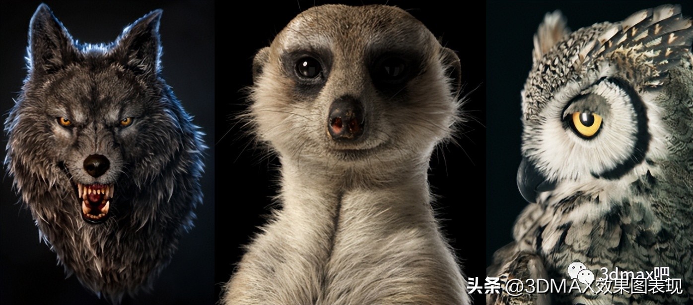 3dmax教程，最新OrnatrixV7毛发插件