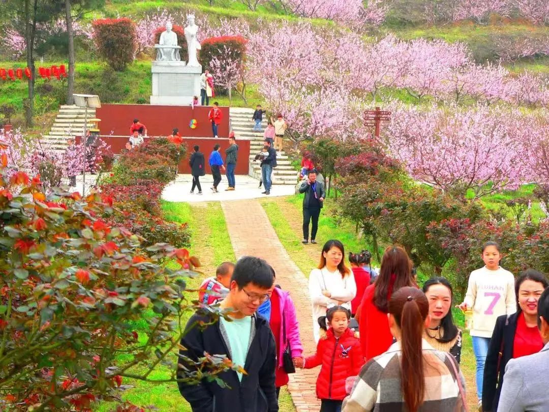 黄石四a景区开放了吗,黄石免费景区一览表