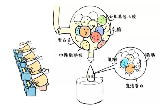 宝宝长湿疹还拉肚子怎么办,宝宝吃母乳拉奶瓣有湿疹怎么办
