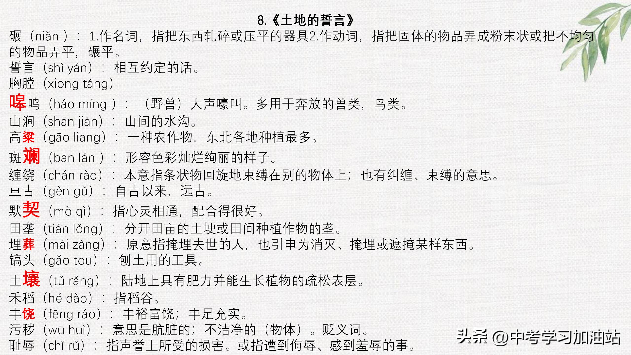 七年级期末语文必考知识点大全,七年级语文上期末考试必考知识点
