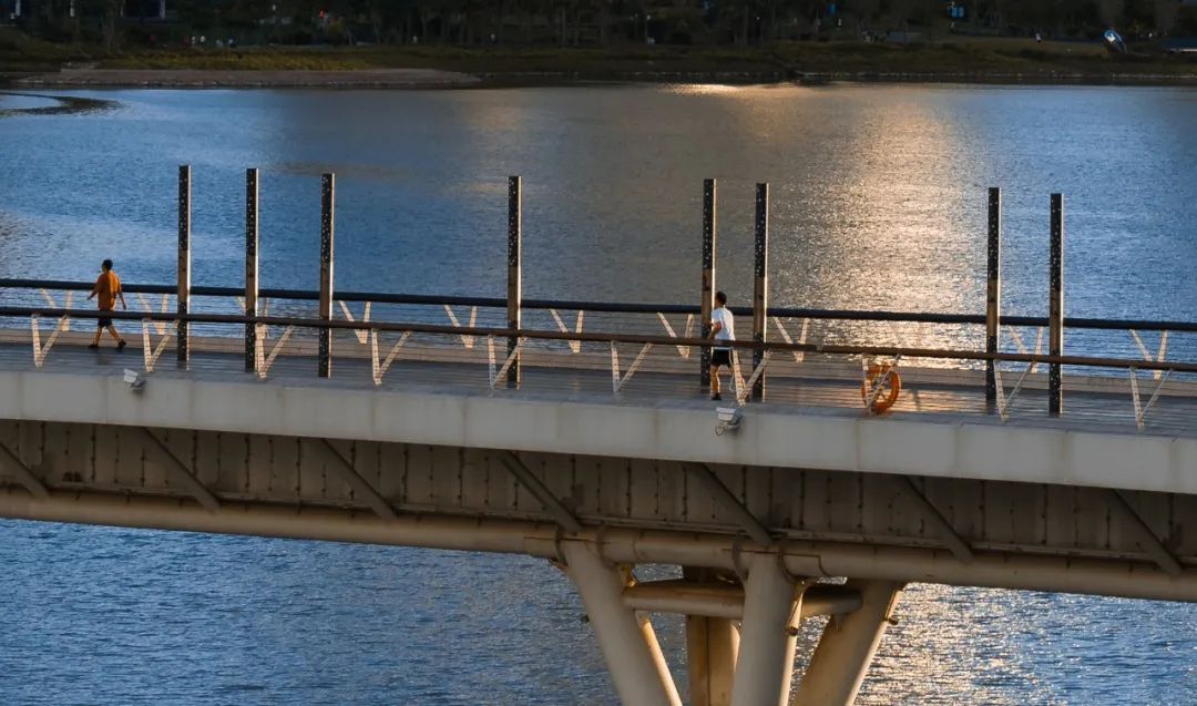 离开互联网大厂,我在深圳假装面试,假装上班,假装看房