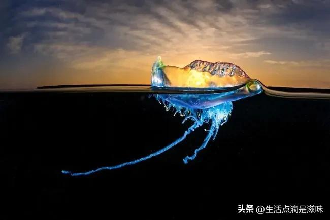 最适合做兼职的职业,适合自由职业做的副业