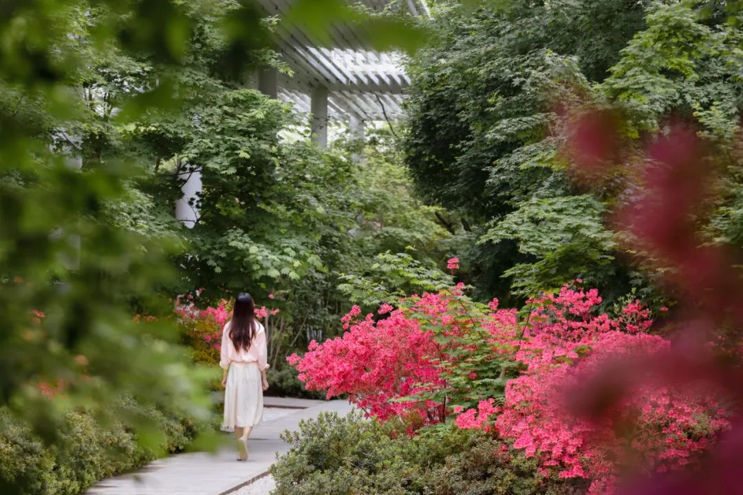 日照夜生活哪里玩,日照晚上去哪里玩