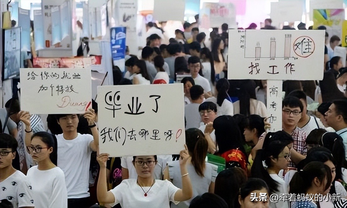 青年失业率高企，突破了20%，毕业生“慢就业”是妥协还是智慧？