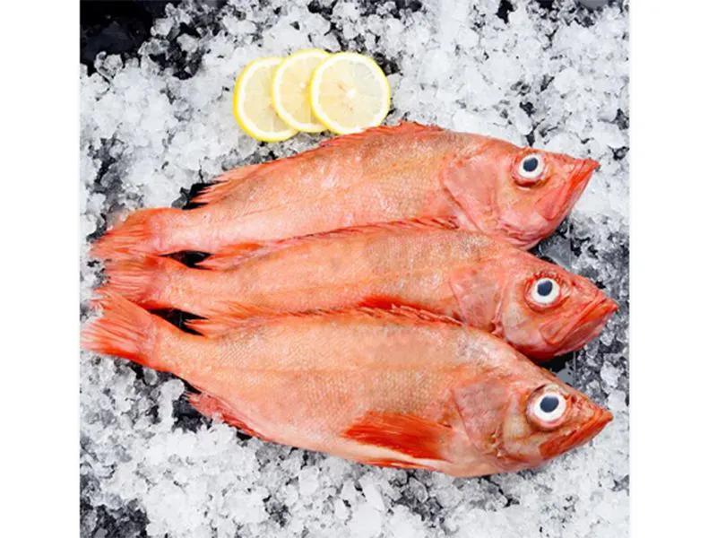 鱼类食材大全名称图片,鱼类菜谱大全100种