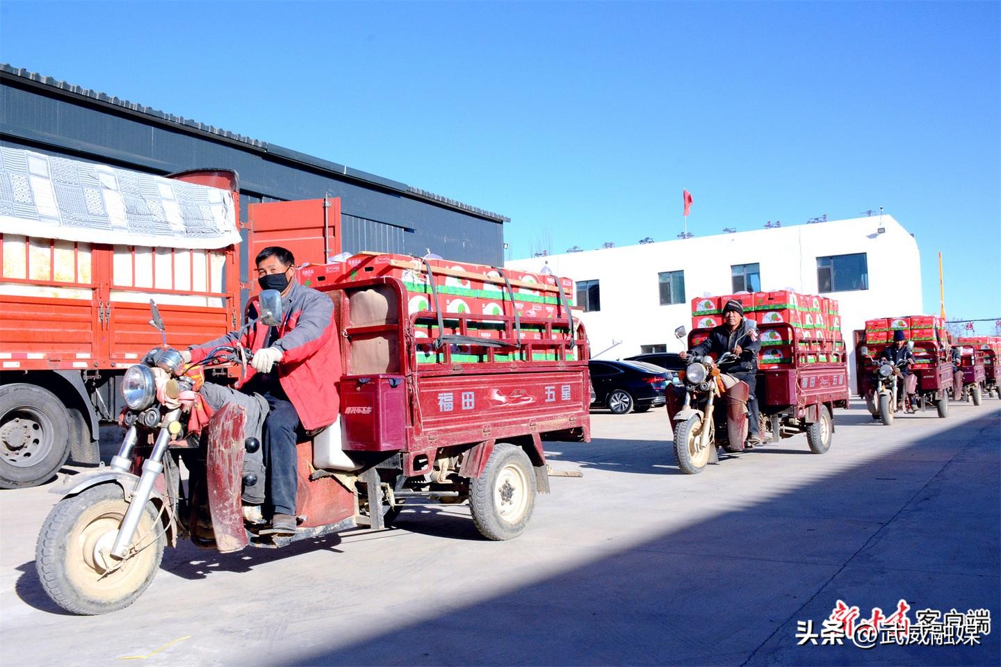 西瓜种植助力农民们增收致富,种植西瓜带动脱贫致富