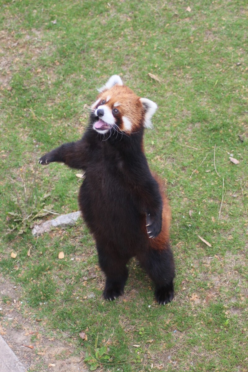 盘点徐州市区和近郊7个适合带孩子一起玩的地方，你去过几个?