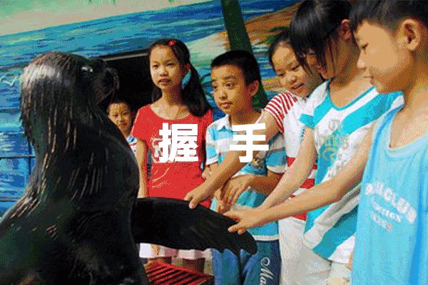 冬日鞍山温泉,鞍山冬日温泉