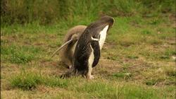 浪漫、纯净、刺激…我想要的精彩尽在新西兰