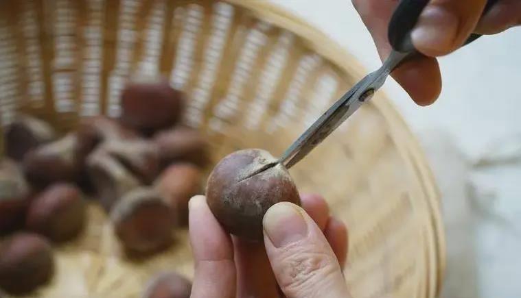 板栗壳怎么剥最简单,学会这个小窍门板栗香甜又好剥