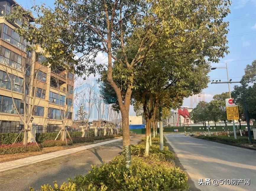 敔山湾学区房小区有哪些,敔山湾房子有哪些