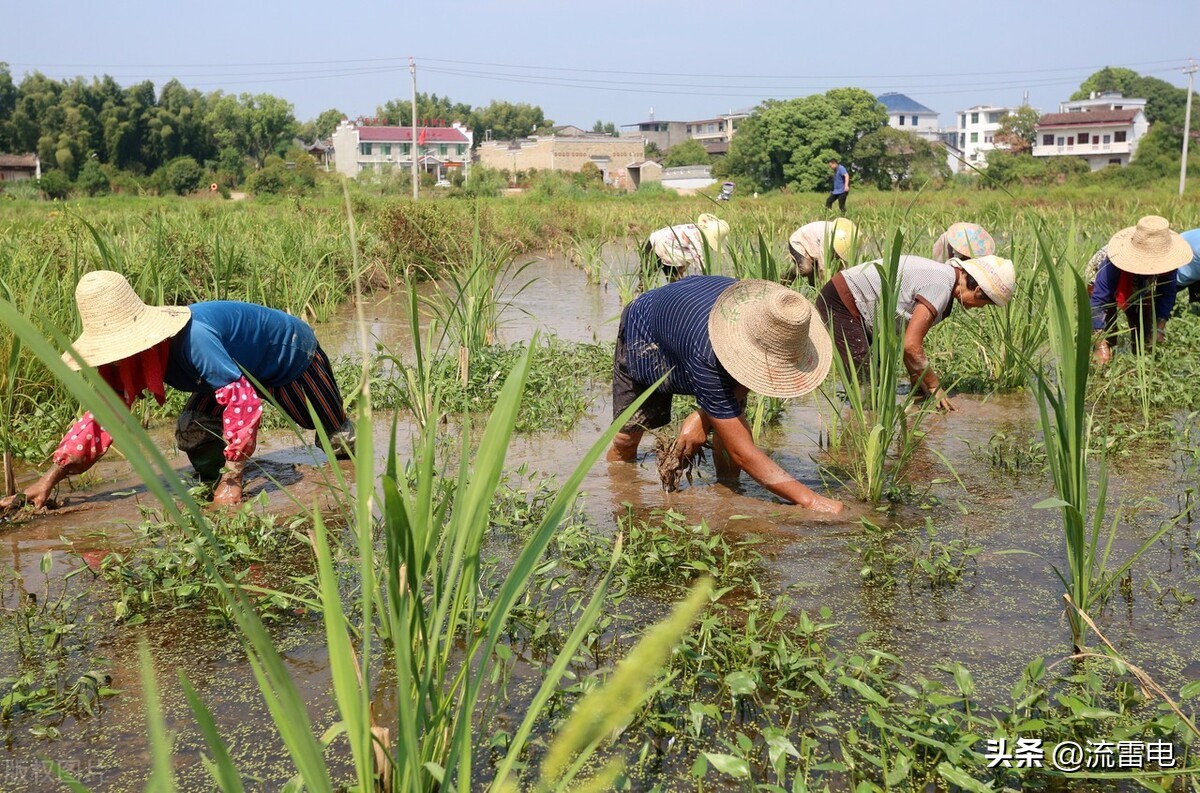 农民死后丧葬费能领多少,农民死后丧葬费有多少