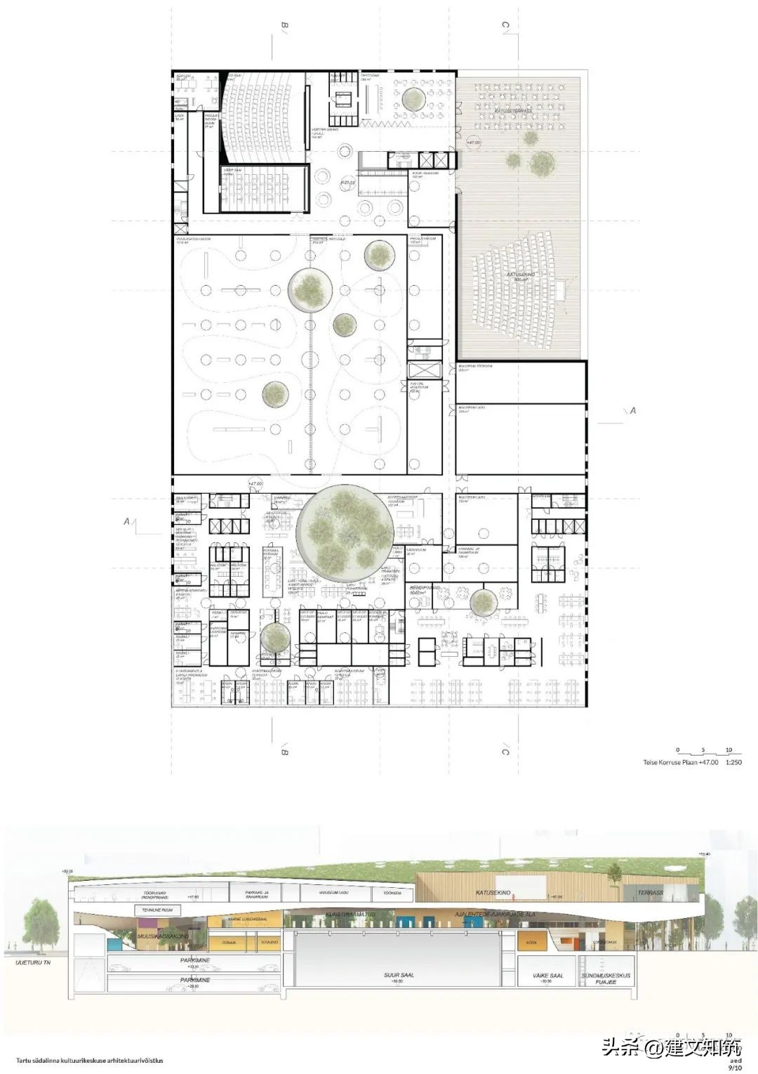 爱沙尼亚田径比赛,爱沙尼亚杯比赛结果
