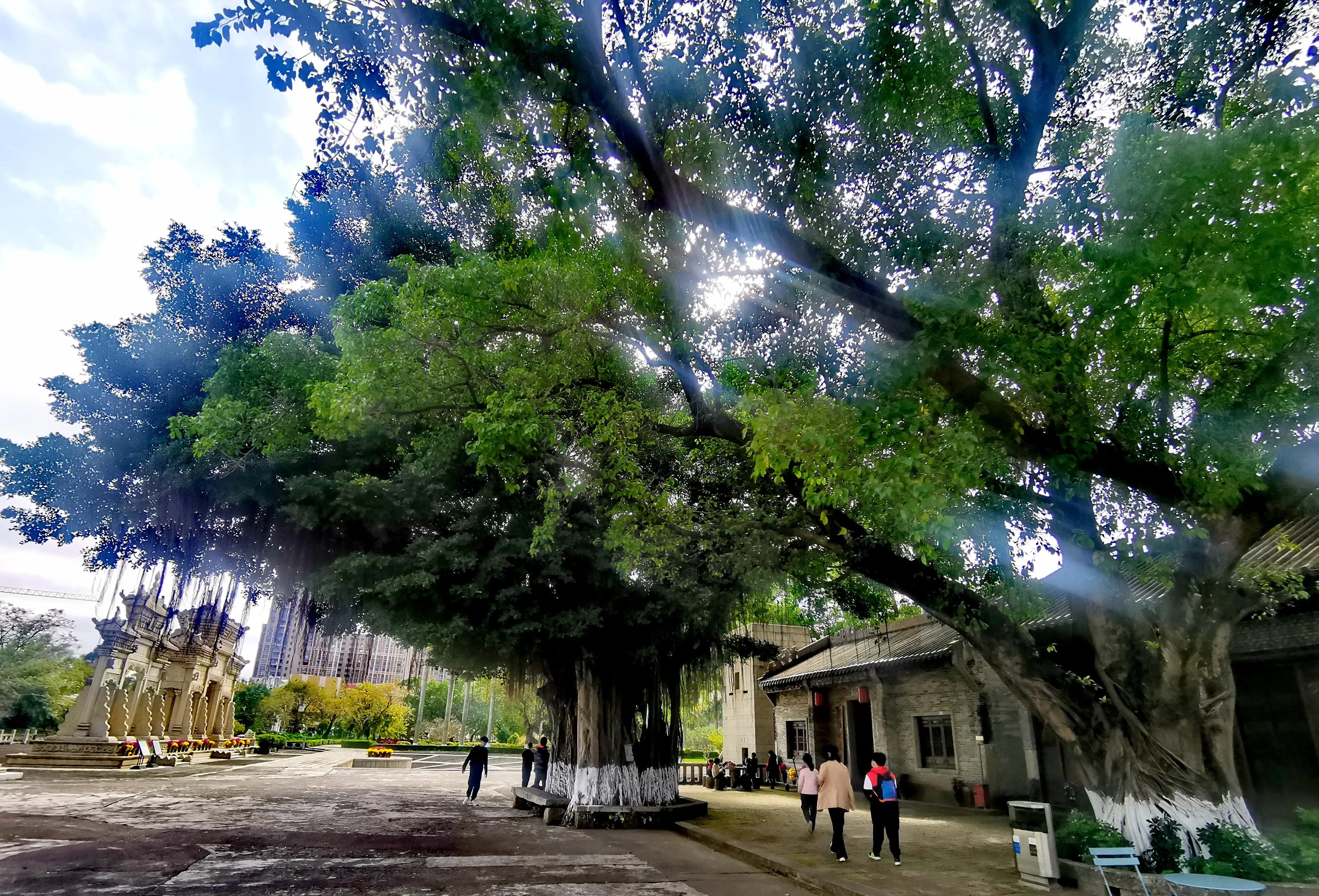 梅溪牌坊简介,珠海梅溪牌坊来历