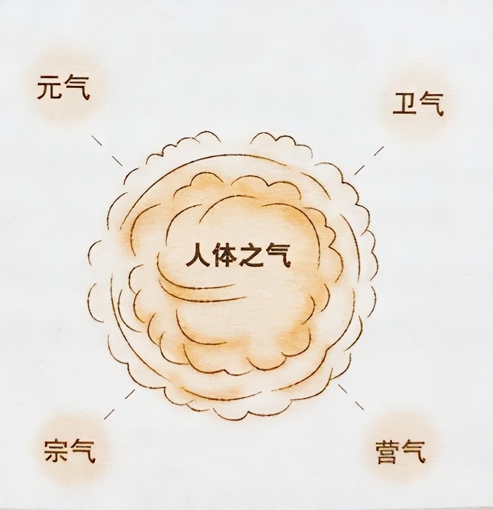 一动就出汗怎么止汗,动不动就出汗是什么气虚