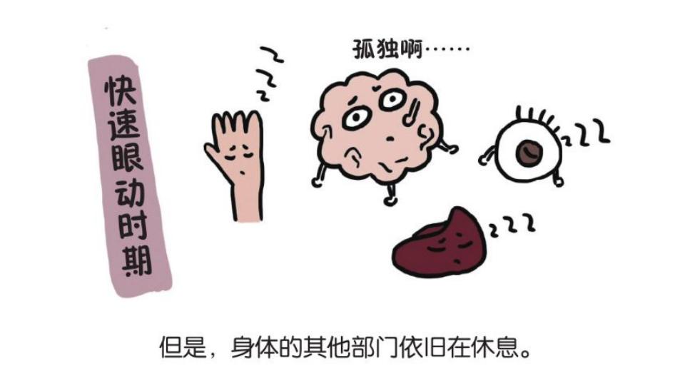 什么时候睡觉最容易梦魇,睡觉多了就会有梦魇吗