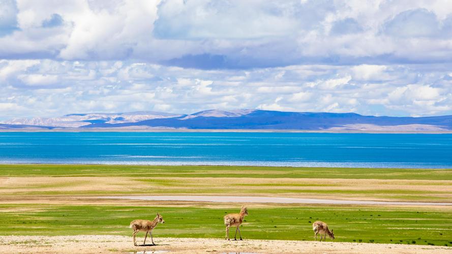 云贵川公务员待遇排名,西南地区公务员待遇