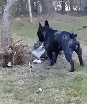 兵马俑制作过程简单用粘土,兵马俑制作过程电视剧