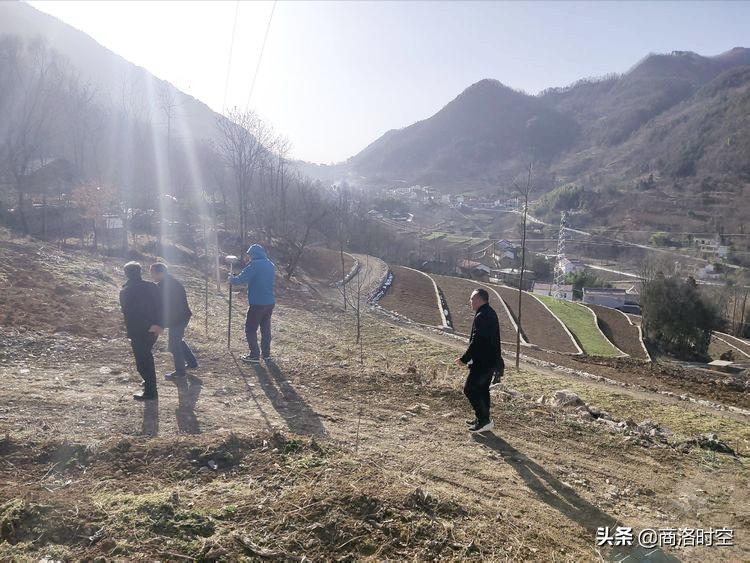 镇安县米粮镇：种好“黄金叶”奏响振兴曲