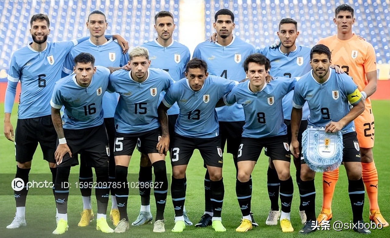 2022卡塔尔世界杯32强排名,2022年卡塔尔世界杯塞尔维亚队