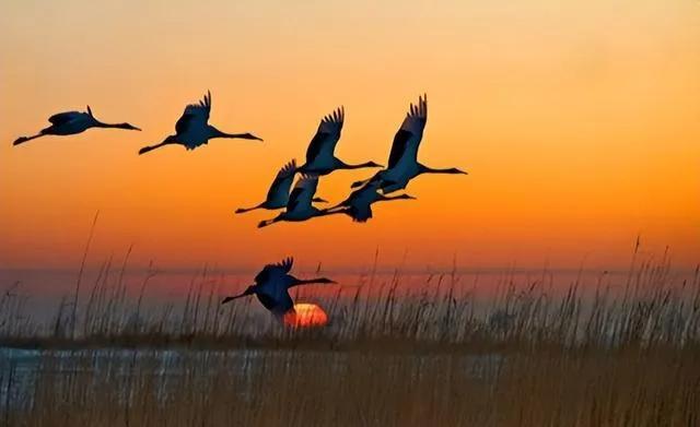 别晒幸福别晒甜蜜更别晒成功文案,别晒幸福别晒甜蜜更别晒成功