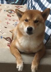 中国人下南洋如何白手起家,白手起家的人特征