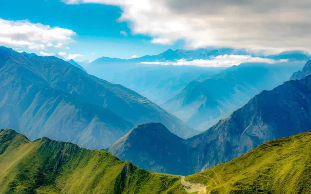 小说连载丨狰狞的欲望（9）