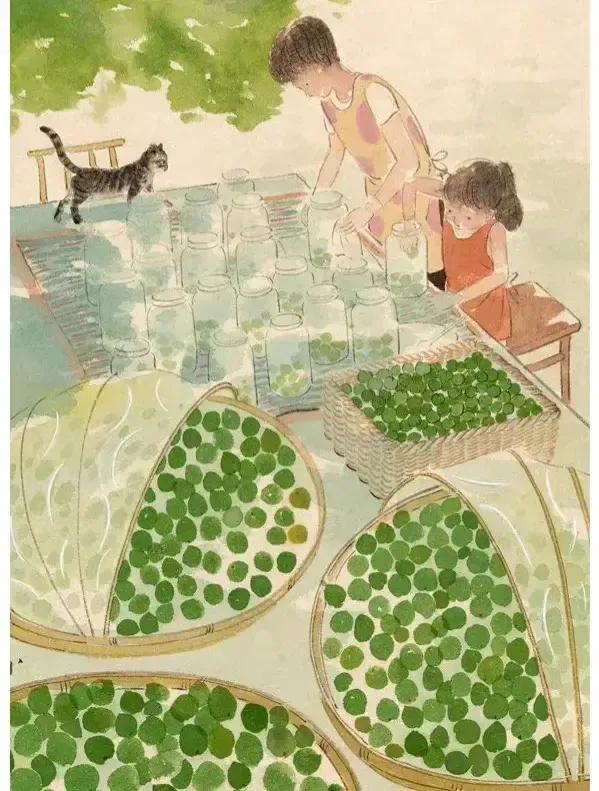 网友画的教材封面,网友画的小学教材插画对比图