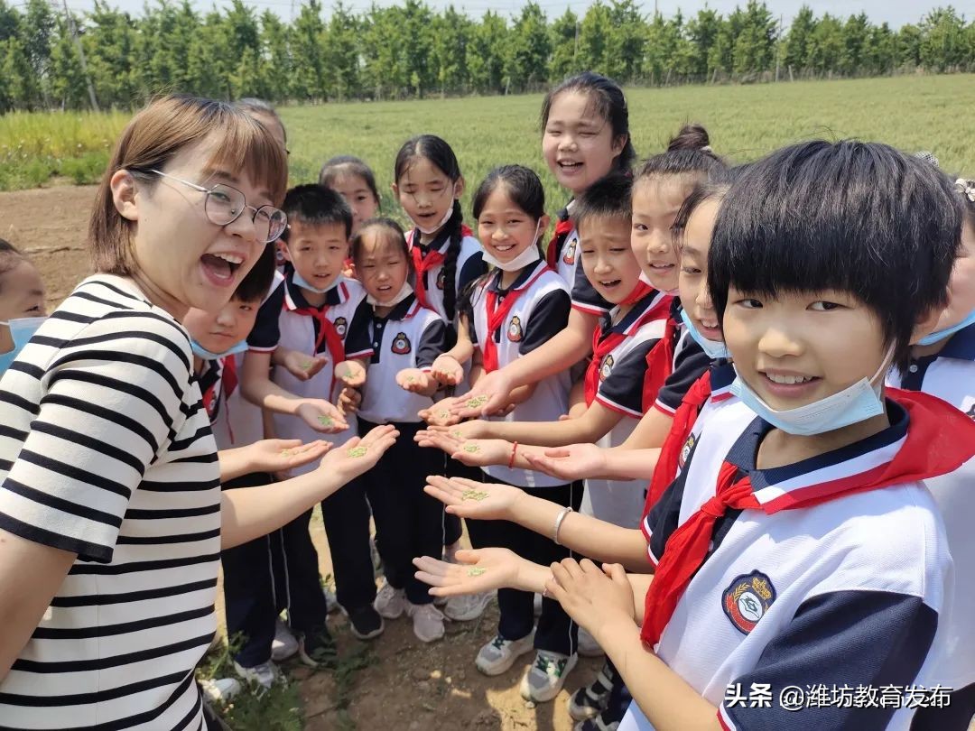 最新新闻周播报,新闻周播报完整版